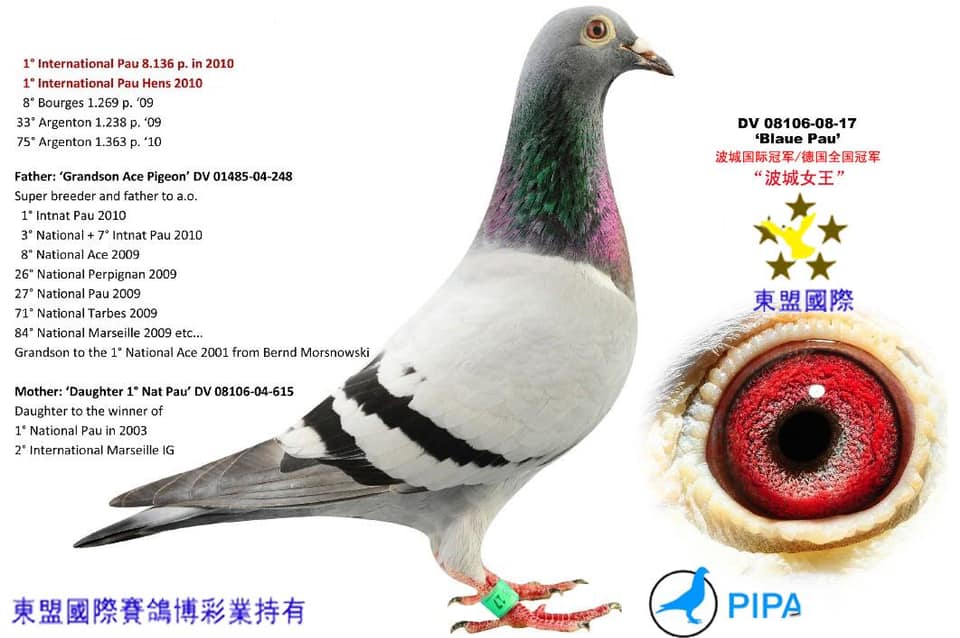 5.5 ТЭРБУМЫН ҮНЭТЭЙ ТАГТАА Монголд орж ирсэн өдөн дээрээ тамгатай тагтааны учир